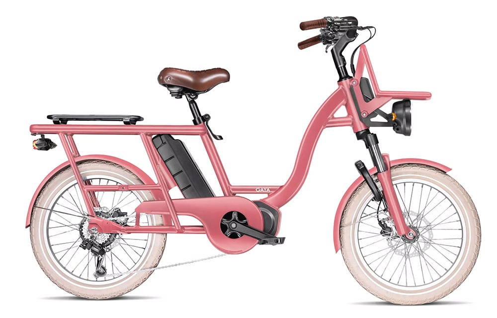 Test et avis du vélo cargo Gaya L'Origina
