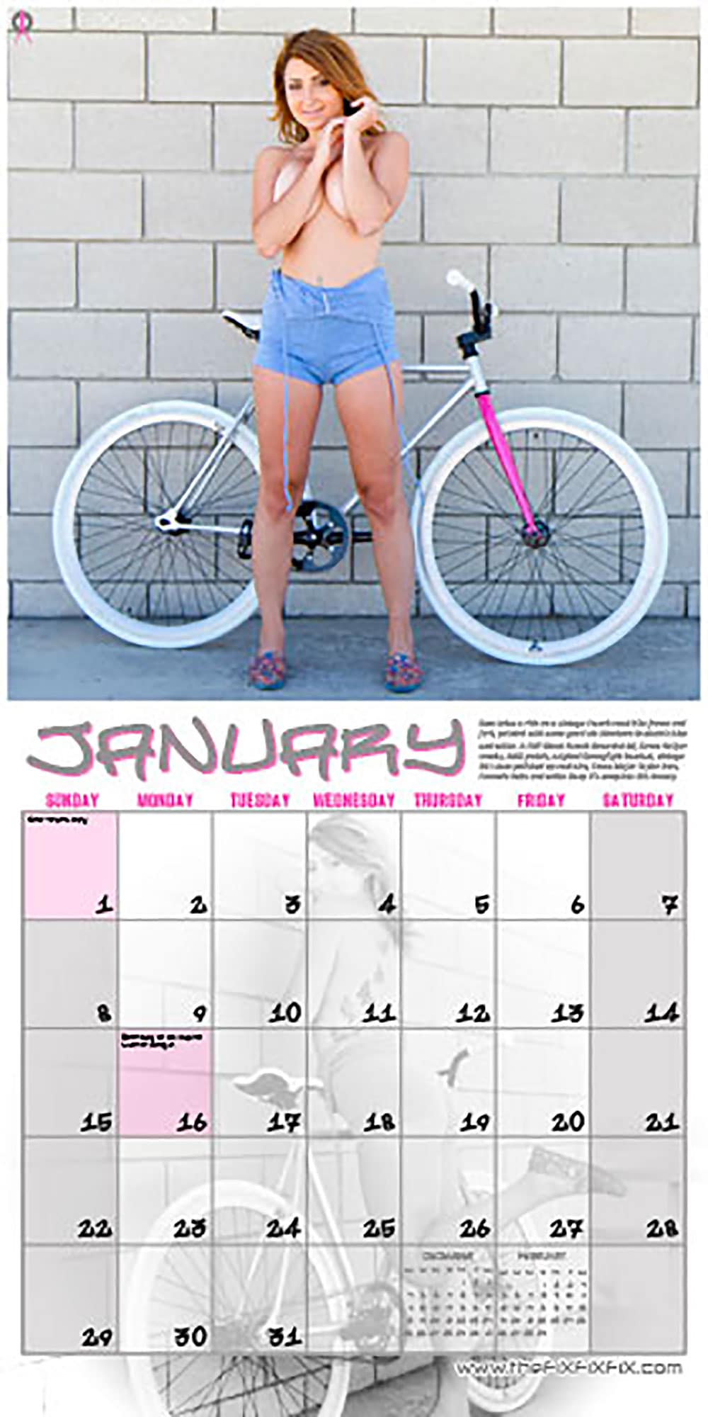 Le calendrier 2012 Thefixfixfix est enfin disponible