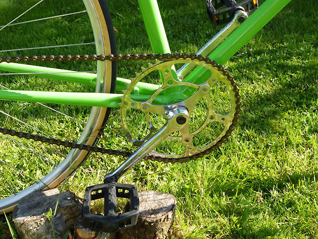 Vélo singlespeed vert sauterelle de Christophe