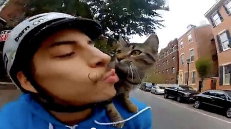 Vidéo d'une balade à vélo avec son chat sur les épaules