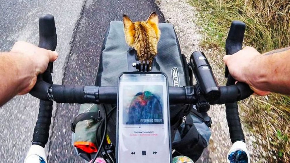 Il fait le tour du monde à vélo et avec un chat !