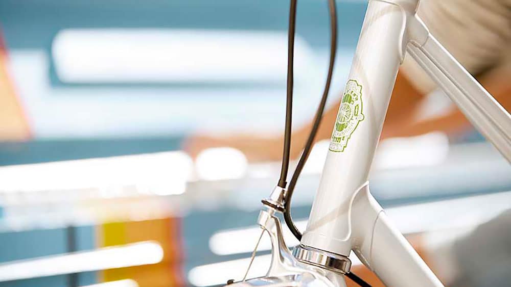 Des vélos hollandais conçus pour durer faites le bon choix