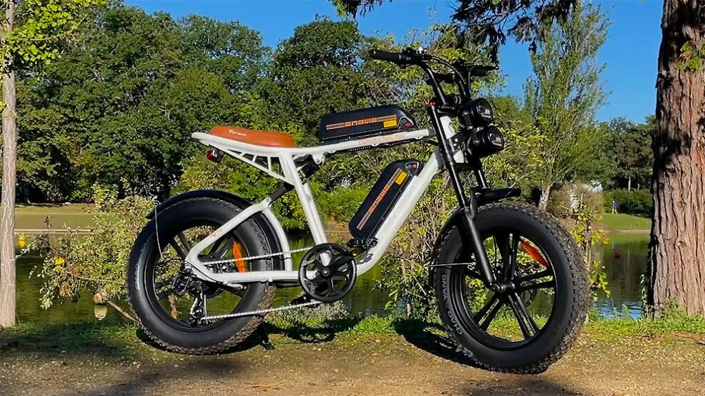 GO SOLID! Chargeur Compatible Engwe M20 – Vélo Électrique Fatbike – Charge Rapide, Sécurisé, Compact