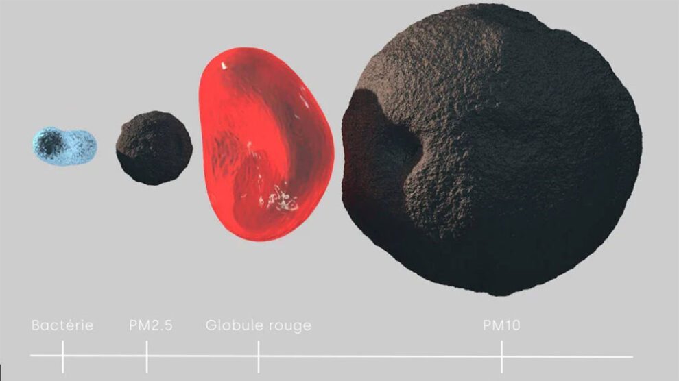 Partuiules Pourquoi les particules ultrafines sont-elles les plus dangereuses