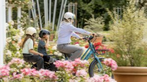 Ultima Mobility, Voltaire et Larrun, le nouveau groupe français.