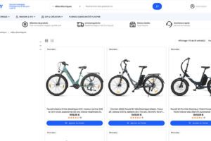 Zigbuy, la nouvelle plateforme qui s'insère sur le marché du vélo électrique