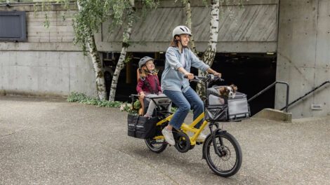 vélo cargo compact